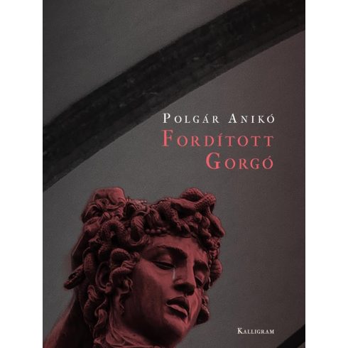 Polgár Anikó: Fordított Gorgó