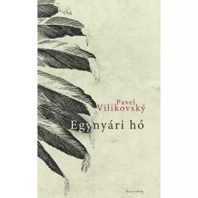 Pavel Vilikovský: Egynyári hó