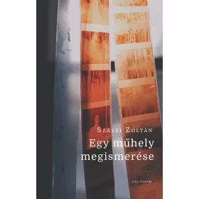 Szászi Zoltán: Egy műhely megismerése
