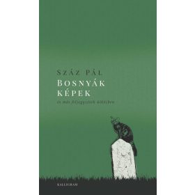 Száz Pál: Bosnyák képek