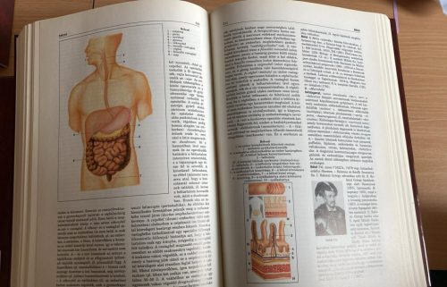 Magyar Nagylexikon 1-19./Kronológia 1-2. (antikvár)