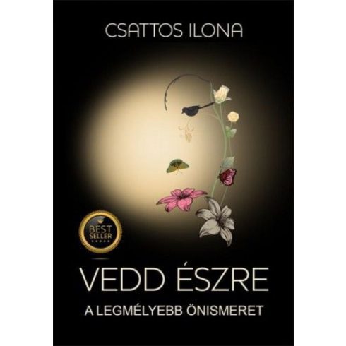 Csattos Ilona: Vedd észre