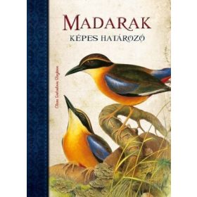 Clara Svetoslava Staykova: Madarak