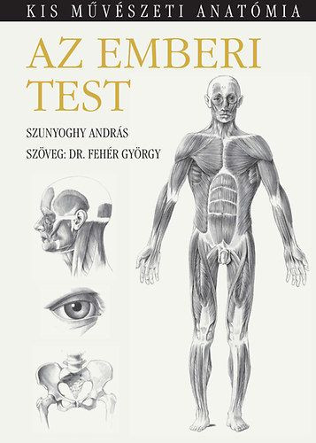Pin by Somogyi Sándor on Egészség  Body anatomy, Anatomy reference, Human  anatomy drawing