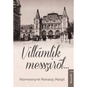 Niamessnyné Manaszy Margit: Villámlik messziről