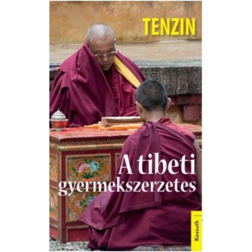 Tenzin: A tibeti gyermekszerzetes