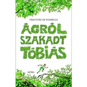 Timothée de Fombelle: Ágrólszakadt Tóbiás (antikvár)