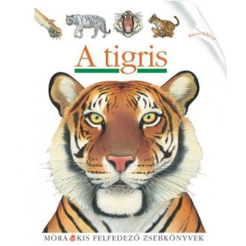 Sylvaine Peyrols: A tigris