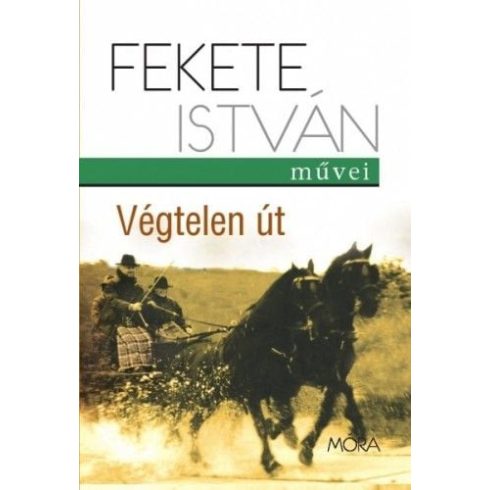 Fekete István: Végtelen út