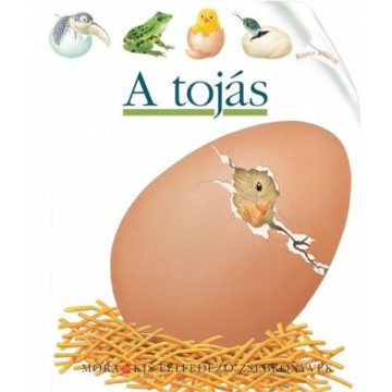 Pascale de  Bourgoing: A tojás