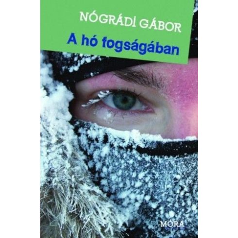 Nógrádi Gábor: A hó fogságában