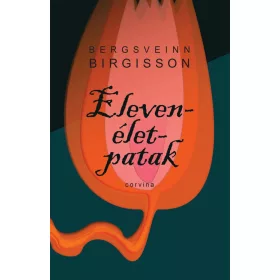 Bergsveinn Birgisson: Elevenélet-patak (antikvár)