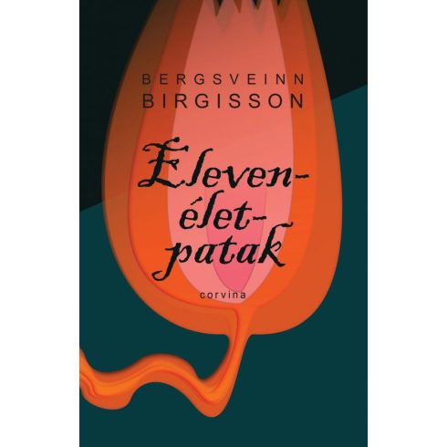 Bergsveinn Birgisson: Elevenélet-patak (antikvár)