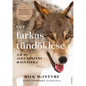   Rick McIntyre: Egy farkas tündöklése - A 6-os alfa-nőstény hagyatéka