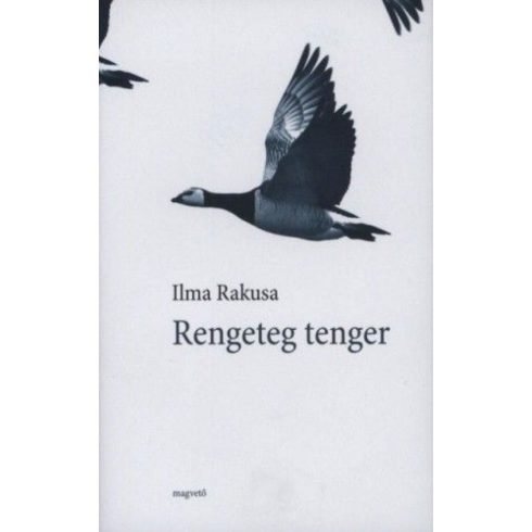 Ilma Rakusa: Rengeteg tenger