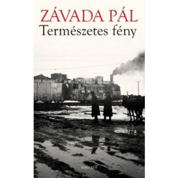   Závada Pál: Természetes fény - Az archív képek regénye