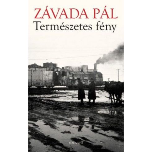 Závada Pál: Természetes fény - Az archív képek regénye