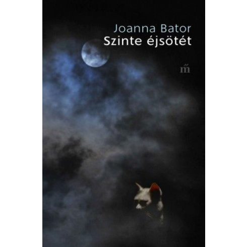 Joanna Bator: Szinte éjsötét