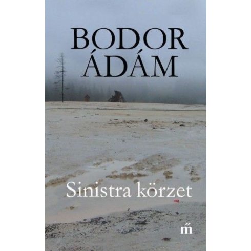 Bodor Ádám: Sinistra körzet