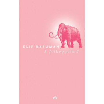Elif Batuman: A félkegyelmű