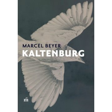 Marcel Beyer: Kaltenburg