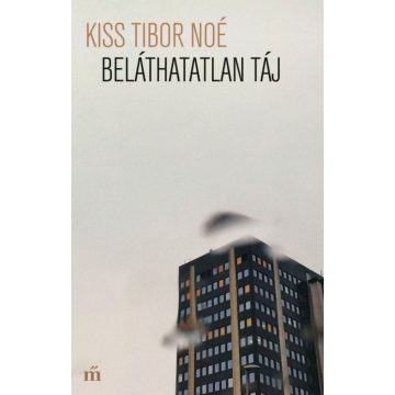 Kiss Tibor Noé: Beláthatatlan táj