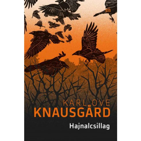 Karl Ove Knausgard: Hajnalcsillag