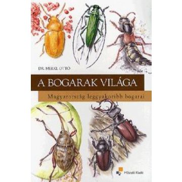   Dr. Merkl Ottó: A bogarak világa Magyarország leggyakoribb bogarai