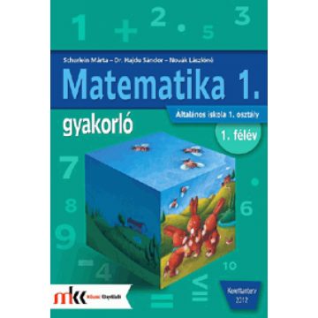   Csengeri Hajdu Sándor, Hajdu Sándor, Novák Lászlóné: Matematika 1. gyakorló - 1. félév