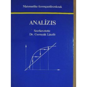   Csernyák László: Analízis - Matematika üzemgazdászoknak (antikvár)