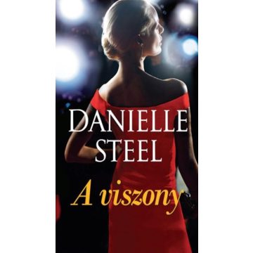 Danielle Steel: A viszony