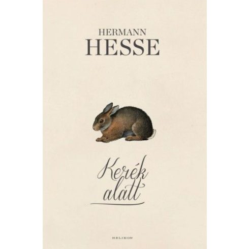 Hermann Hesse: Kerék alatt