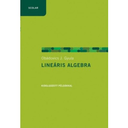 Obádovics J. Gyula: Lineáris algebra példákkal