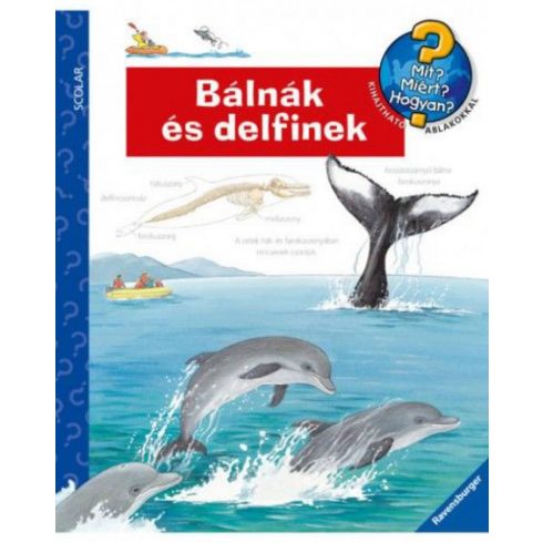 Doris Rübel: Bálnák és delfinek