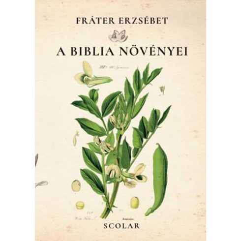 Fráter Erzsébet: A Biblia növényei