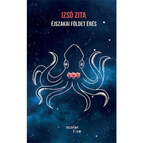 Izsó Zita: Éjszakai földet érés