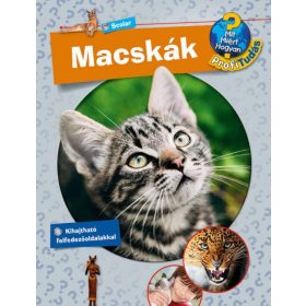   Stefan Greschik: Macskák - Mit? Miért? Hogyan? Profi Tudás