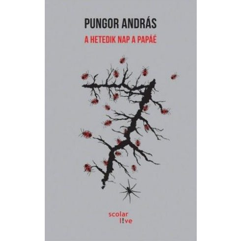 Pungor András: A hetedik nap a papáé