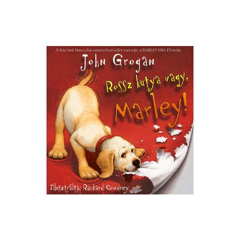 John Grogan: Rossz kutya vagy, Marley!