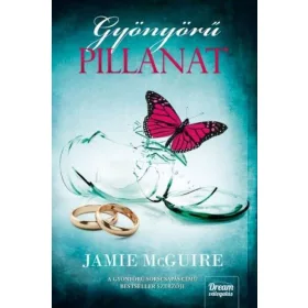 Jamie McGuire: Gyönyörű pillanat