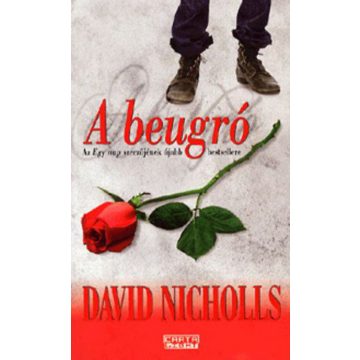 David Nicholls: A beugró