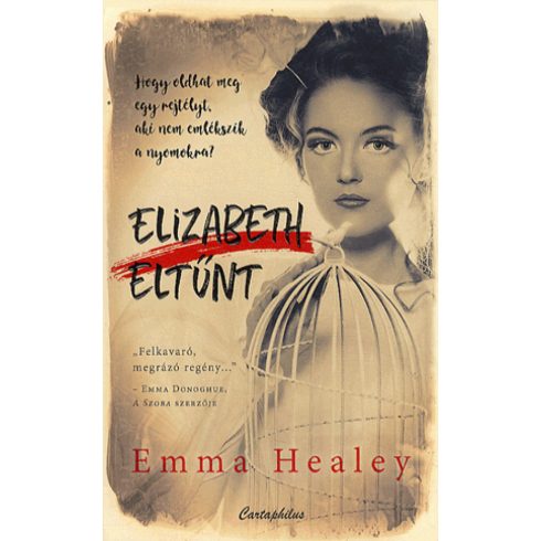 Elizabeth Healey: Elizabeth eltűnt