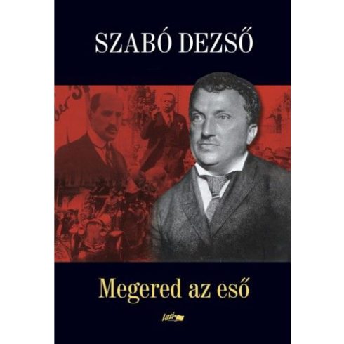 Szabó Dezső: Megered az eső