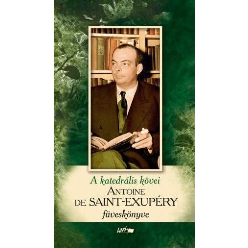 Antoine de Saint-Exupéry: A katedrális kövei - Saint-Exupéry füveskönyve
