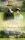 Jane Austen: A klastrom titka