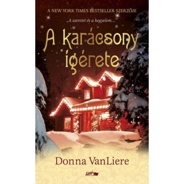 Donna VanLiere: A karácsony ígérete