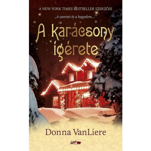 Donna VanLiere: A karácsony ígérete