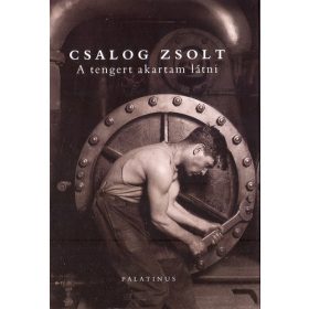 Csalog Zsolt: A tengert akartam látni (antikvár)