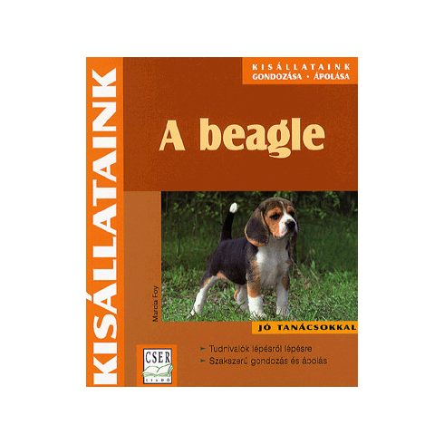 Marcia Foy: A beagle
