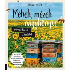   Stephanie Bruneau: Méhek, mézek nagykönyve - Gyógyító kincsek a kaptárból